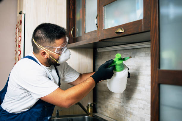 Best Affordable Pest Control Services  in Felton, CA